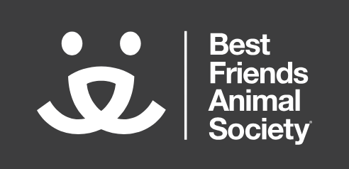 Donation-Based Giveaway for LA Fire Relief